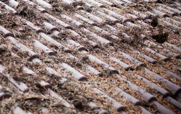 Southminster roof cleaning companies